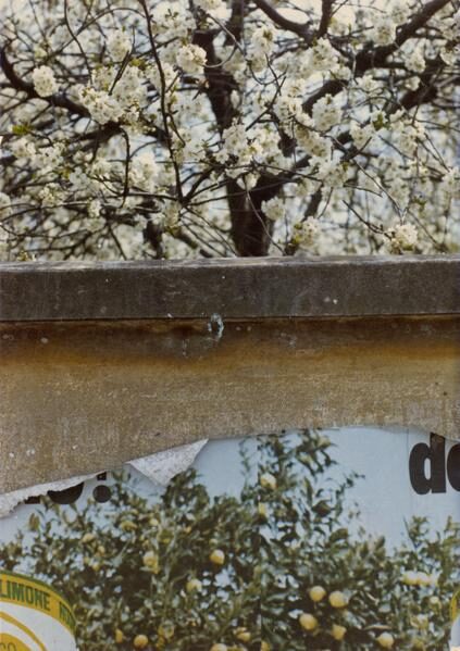 'Luigi Ghirri - The Impossible Landscape' in the Matthew Marks Gallery New York still on through 30 April, 2016 and for you on GoSee