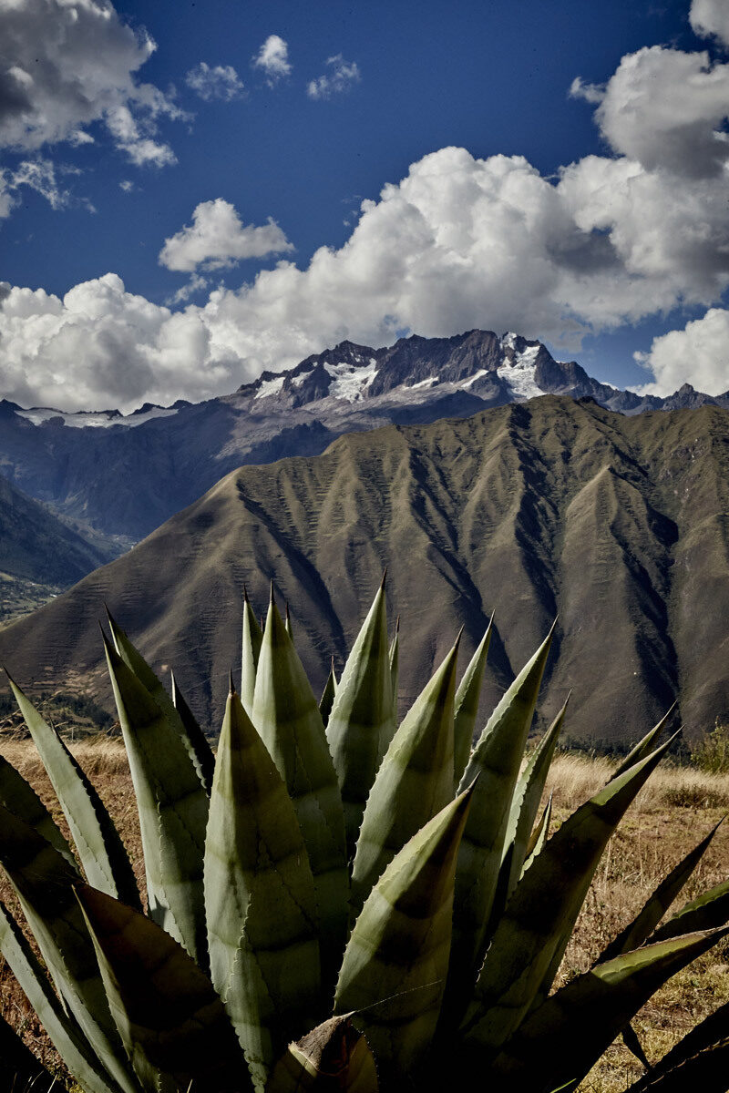 PERUVIAN CONNECTION Winter 2016 campaign staged by <b>Blasius ERLINGER</b> c/o HILLE PHOTOGRAPHERS