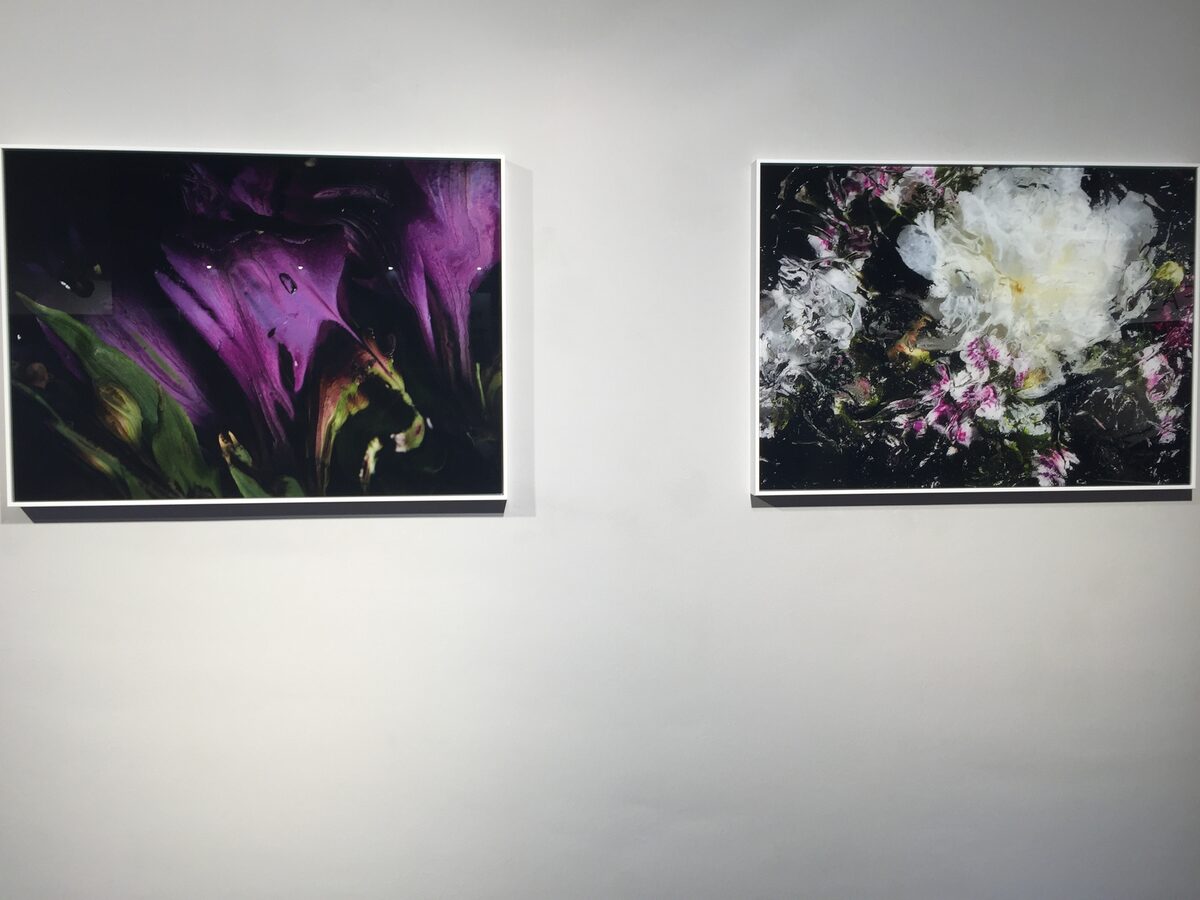 'Memento Flori - the past of all earthly' - <b>Dirk BADER c/o AVENGER PHOTOGRAPHERS</b> exhibits his photos at the Leica Gallery