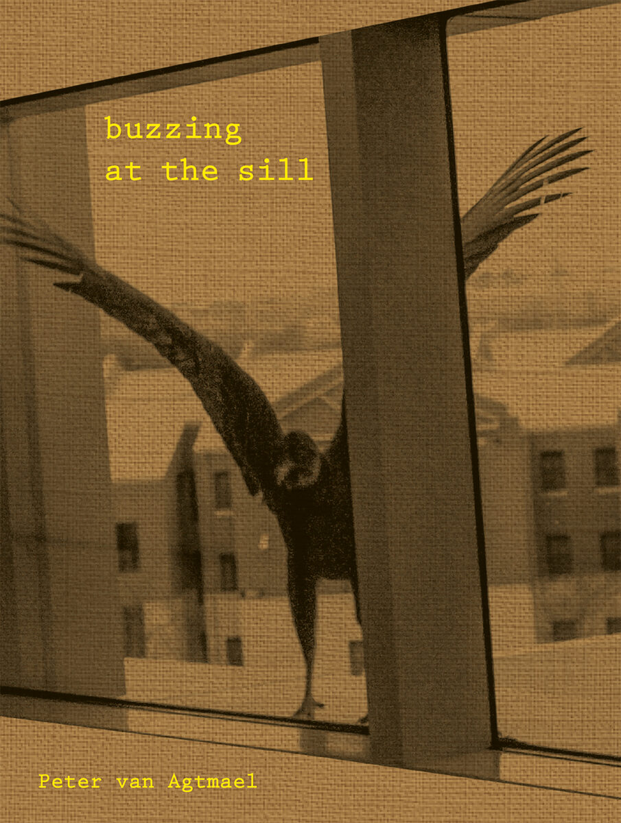 <b>'Buzzing at the Sill' – a book about America in the shadow of wars by reportage photographer Peter van Agtmael</b> as an illustrated book at Kehrer Publishing and as a book tip for you on GoSee