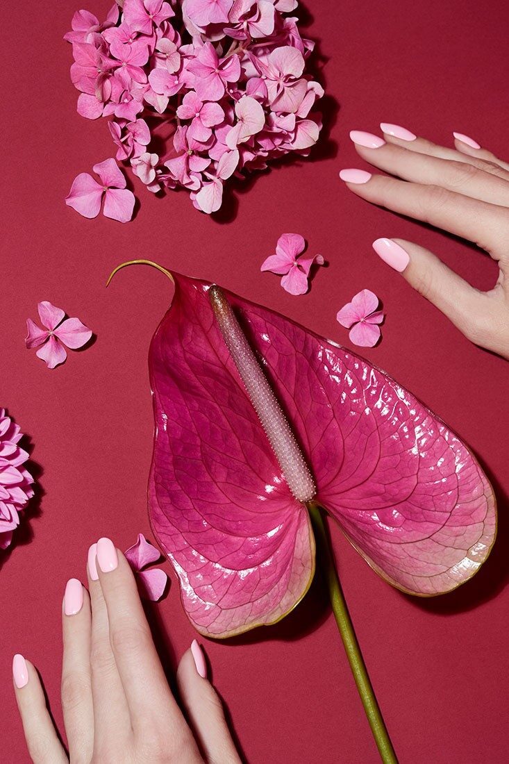'Flowers & Hands' - CARINA JAHN präsentiert makellose Hände und frische Blumen Bouquets