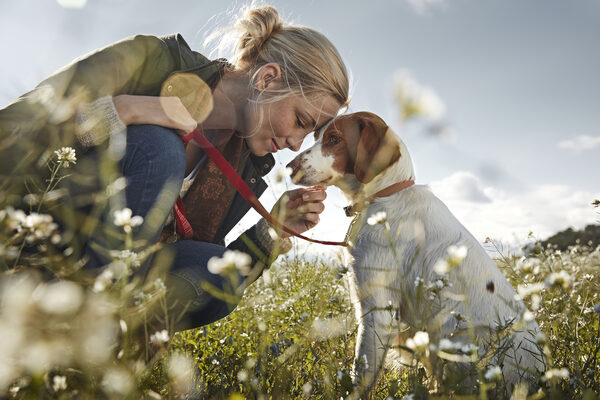 falca