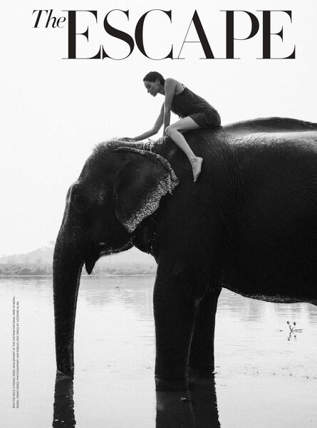 Die Safari-Strecke 'The Escape' in der HARPER’S BAZAAR Interiors mit LOUISA MODEL <b>Monic PEREZ</b> in er Hauptrolle, drei Fotos von Sam Robles für Euch auf GoSee