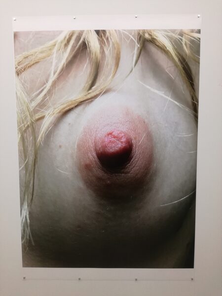 art