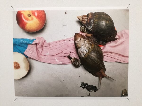 art