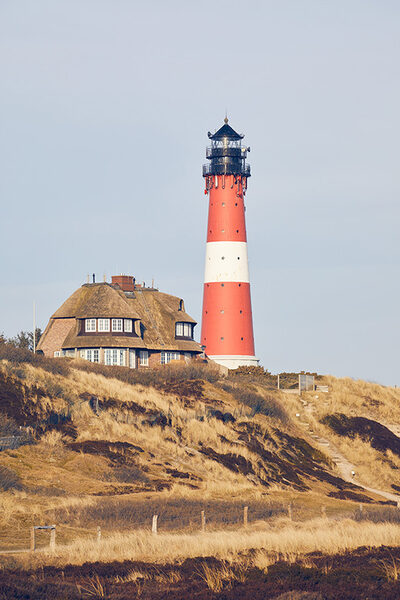 claudianerger