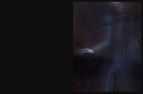 wildfoxrunning