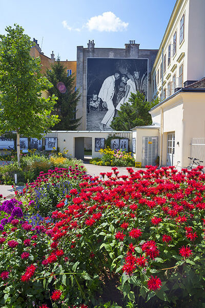 edition-lammerhuber