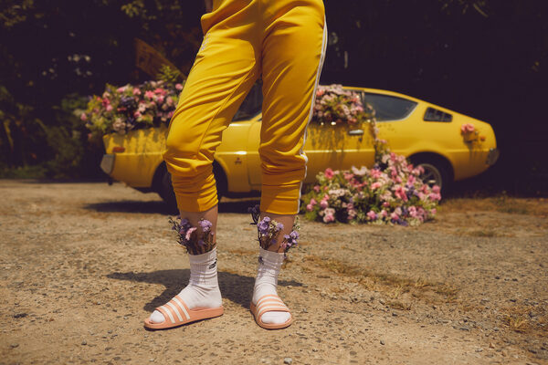 wildfoxrunning
