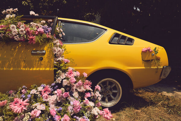 werner-photography