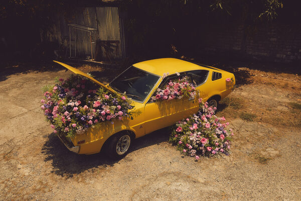werner-photography