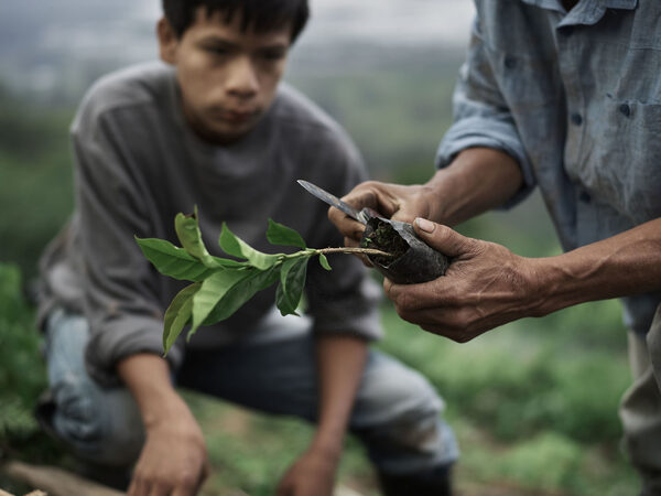 filmingperu