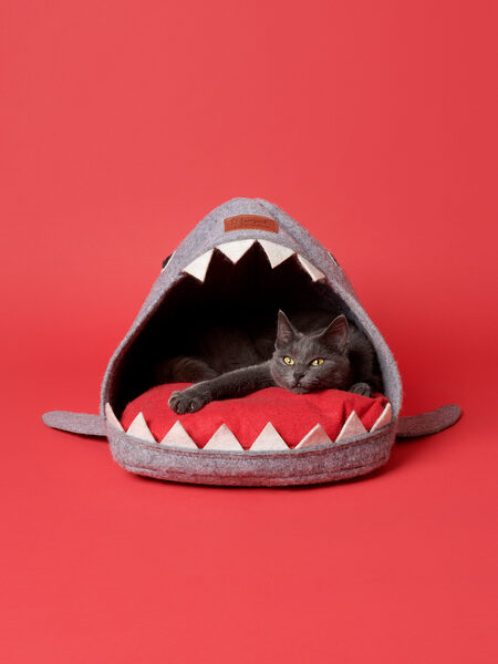 <b>‘For Cats Only’</b> – daily observations on a cat tree in aesthetic studio shots by&nbsp;<b>PASCALE WEBER </b>now<b> </b>in an illustrated book at Hatje Cantz and a preview on GoSee