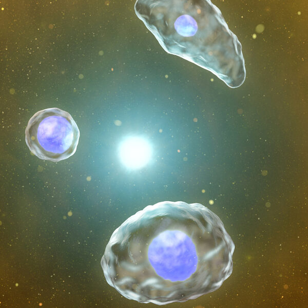 'Four Galaxies of Urine Diagnostics' – hyper-realistic 3D illustrations of proteins, bacteria and blood cells as a fascinating panorama by <b>Armin SCHIEB c/o SEPIA </b>for SYSMEX