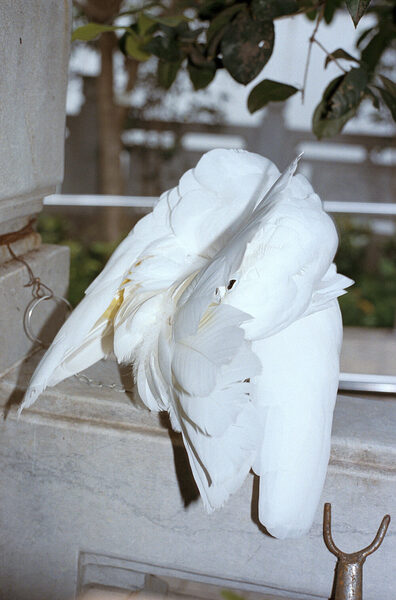 GoSee Tip : <b>‘HOPE’ FUNDRAISER FOR AFGHANISTAN</b> – an online <b>p</b><b>rint sale with works by 100 photographers</b> to secure the future of <b>8 photography students from Afghanistan</b>