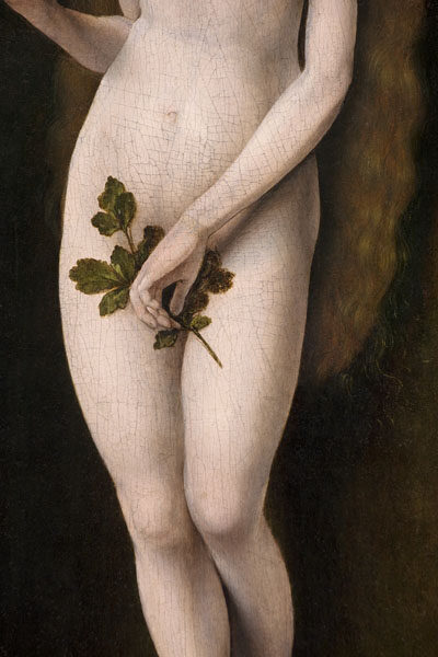 edition-lammerhuber