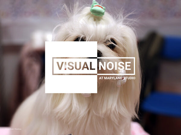 <b>VISUAL NOISE</b> at MARYLAND STUDIO : Go&amp;See the NEXT GENERATION of PHOTOGRAPHY VOICES exhibit with&nbsp;<b>RANKIN</b>