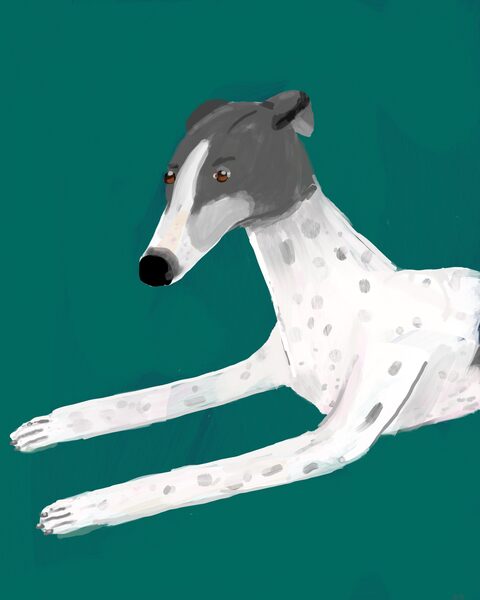 wildfoxrunning