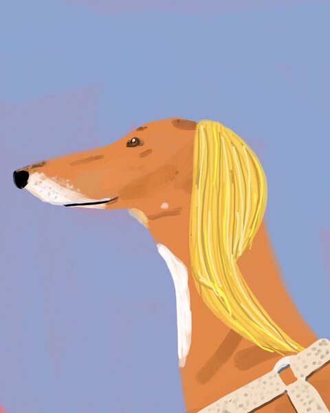 wildfoxrunning
