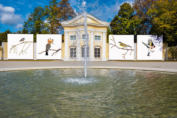 The <b>Festival La Gacilly-Baden Photo </b>is <b>NORTHBOUND!</b> in 2022 – for the fifth time, <b>EDITION LAMMERHUBER </b>is bringing the largest outdoor photo festival in Europe to Baden near Vienna from 9 June to 16 October, 2022