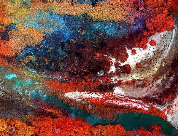 art
