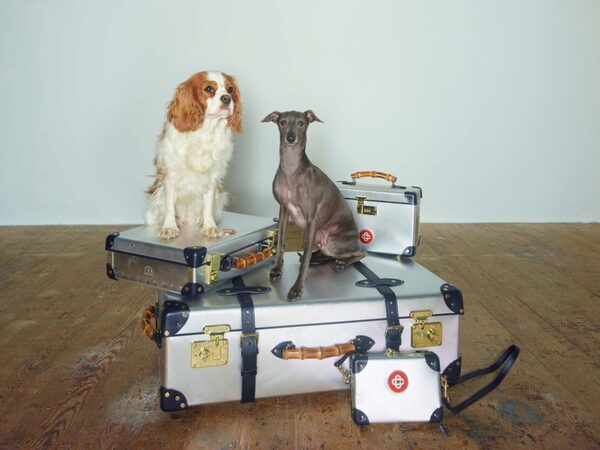 ‘Diamond Dogs’ in <b>THE SUNDAY TELEGRAPH</b> – photos by <b>Dan BURN-FORTI c/o MAKING PICTURES</b>