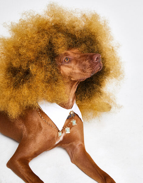 <b>Dirk BADER c/o AVENGER PHOTOGRAPHERS</b> with a howling editorial in <b>ELLE Bulgaria</b>