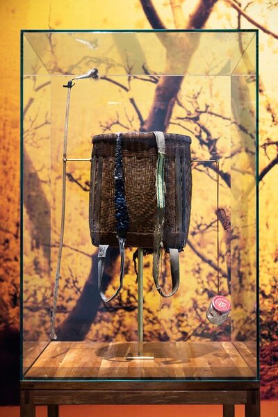 <b>Maximilian Prüfer ‘Fruits of Labour’ </b>- a project about insect mortality and the endangerment of biodiversity – as an <b>illustrated book at Kerber Publishing</b> and an <b>exhibition at Weltmuseum Wien</b>