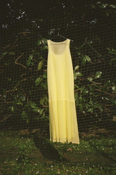wildfoxrunning