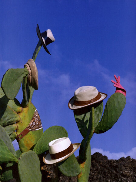 bird-production