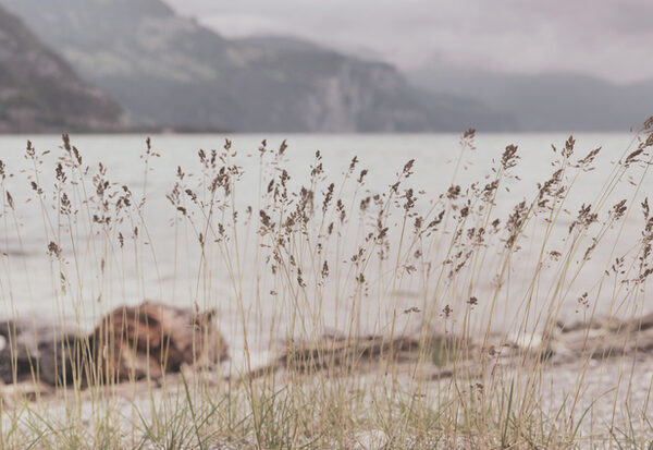visualeyes