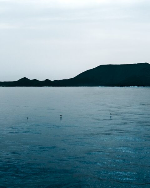 ucapetown