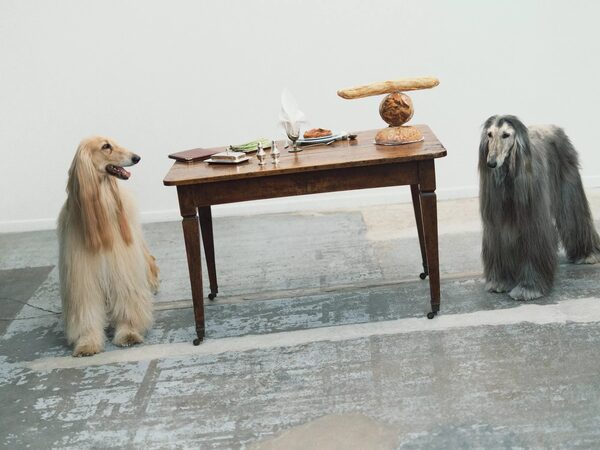 THE MENU is winter's best dish! - <b>JPPS CREATIVE PRODUCTIONS</b> produces the Fall/Winter '25 campaign in photo and film for the Amsterdam-based fashion label<b> FABIENNE CHAPOT</b>
