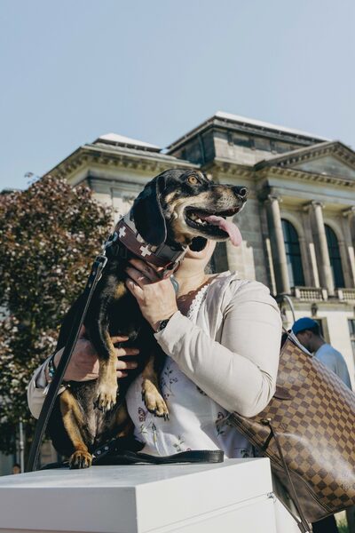 World Dachshund Day - Spiegel Magazine celebrates the world's most popular four-legged friend with photos by Alexandra Polina