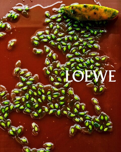 Poetic Stagings Between Sea and Sculpture: Valérie Weill for LOEWE FW26