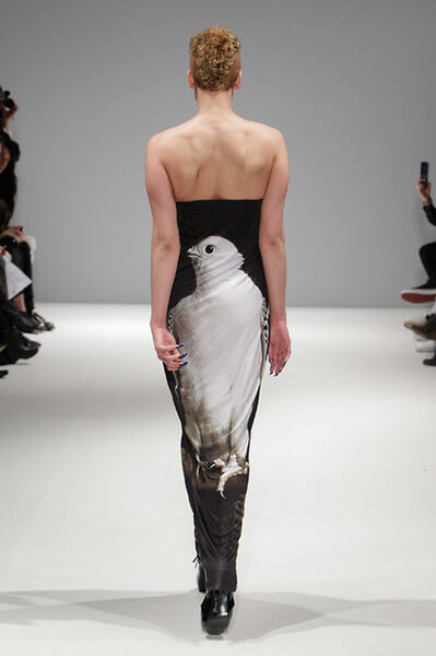 fashion