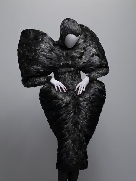 fashion