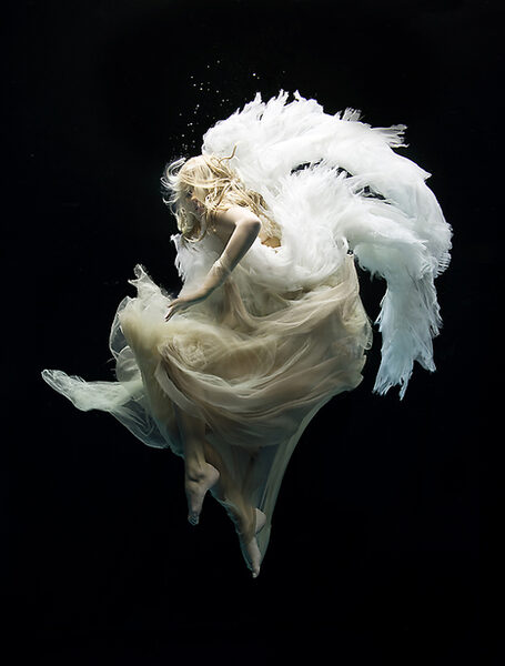 <b>Swan Song by Zena Holloway</b> - vier weitere Motive der Limited Edition ab sofort erhältlich