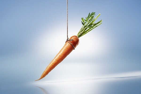 fotografenagentur