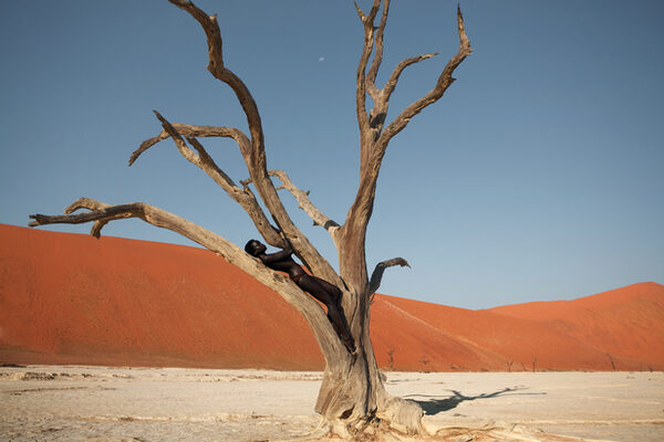 firstproductions