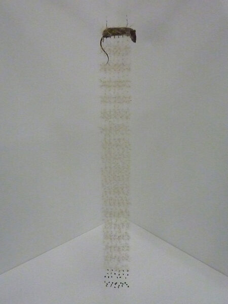 art