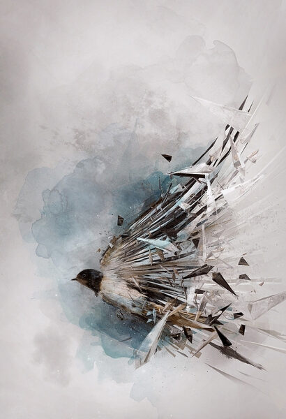 <b>Artbox</b>, Amsterdam : Stop Motion, 3D, Motion Graphics - das Showreel Summer 2012 ist da, New Work by Theo Aartsma und tierische Raritäten für den Artis Royal Zoo