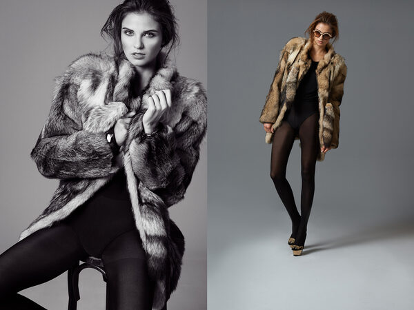 brodybookings