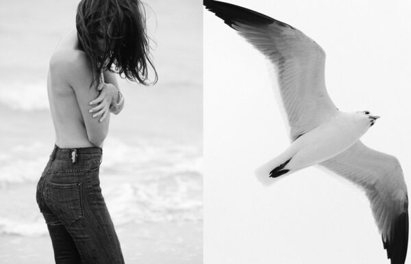 andreasortner