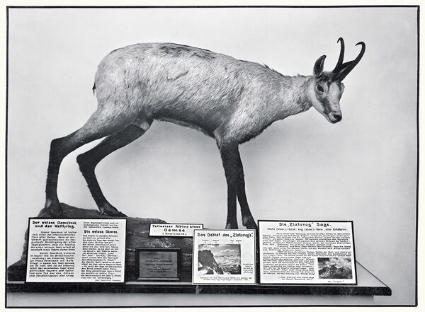edition-lammerhuber