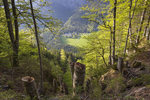 edition-lammerhuber