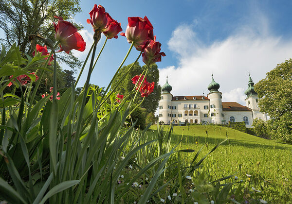 edition-lammerhuber