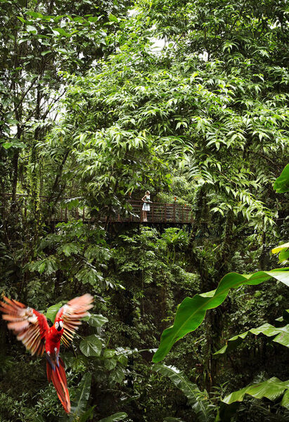 The cover for the Costa Rica special edition issue of TRAVEL+LEISURE magazine – pictures by <b>Blasius ERLINGER</b>