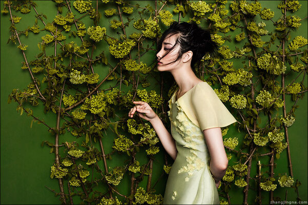 zhangjingna