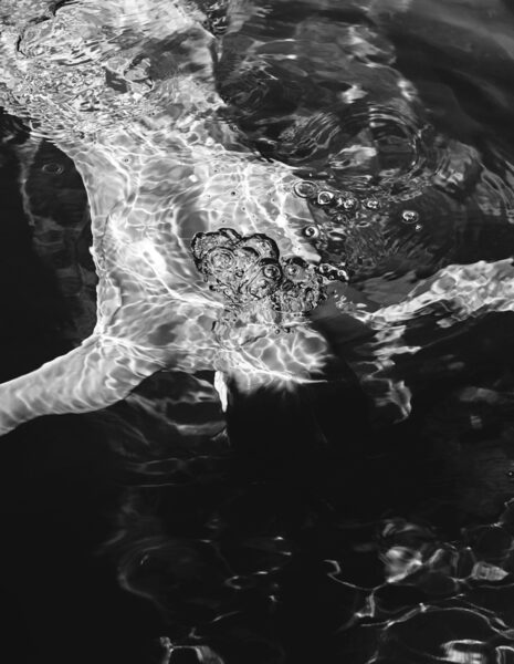 lundlund